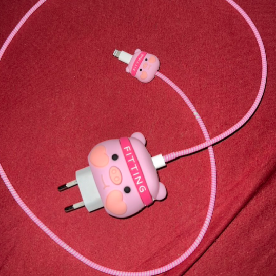 Charger Cover & Cable Protector